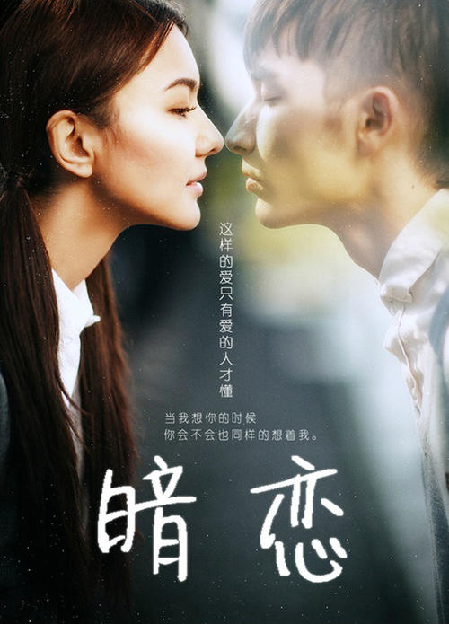 编程cpa证书查询